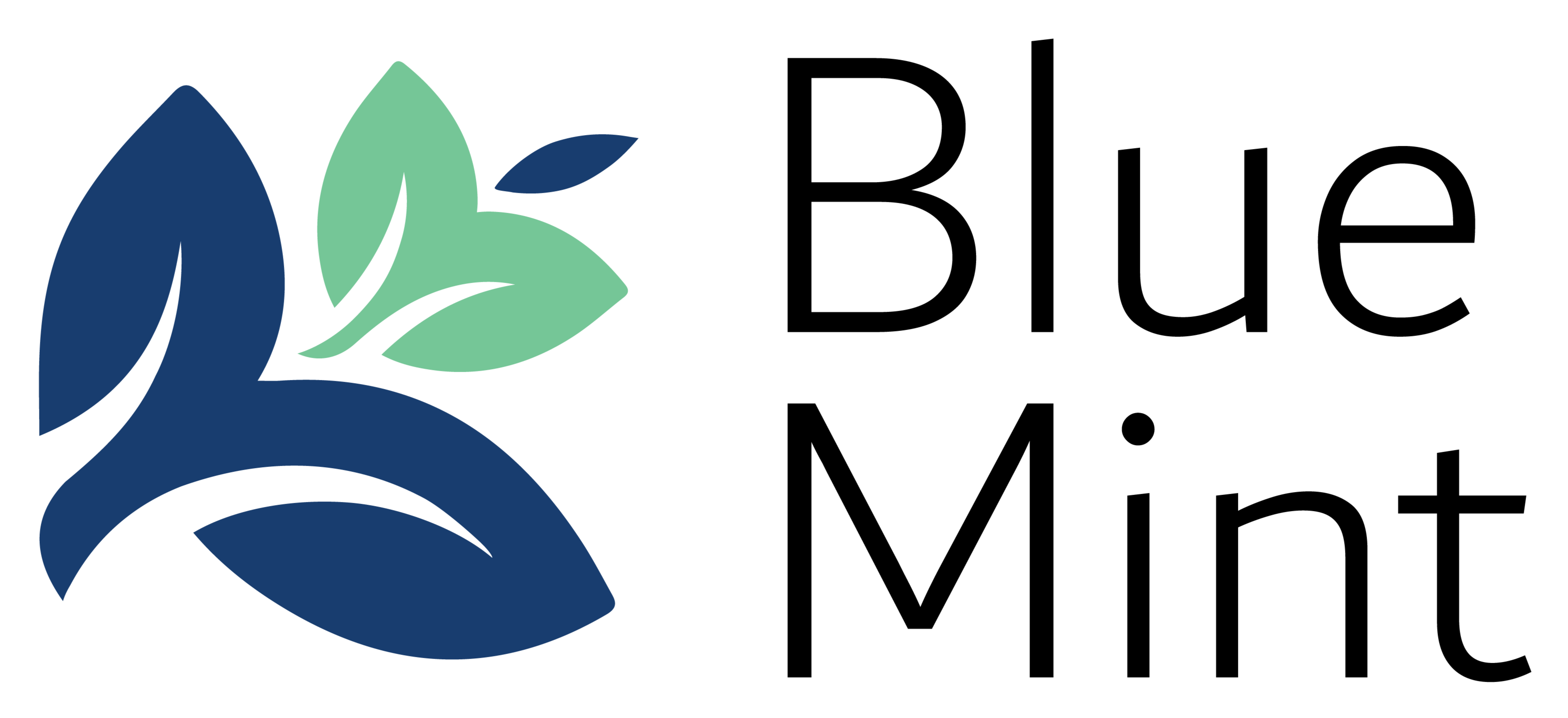 BlueMint Design