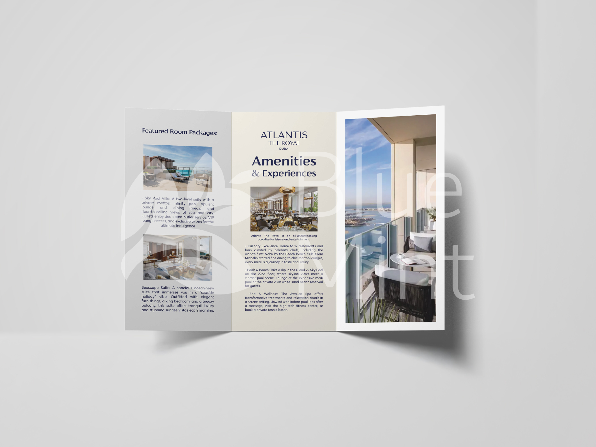 Tri-fold brochure