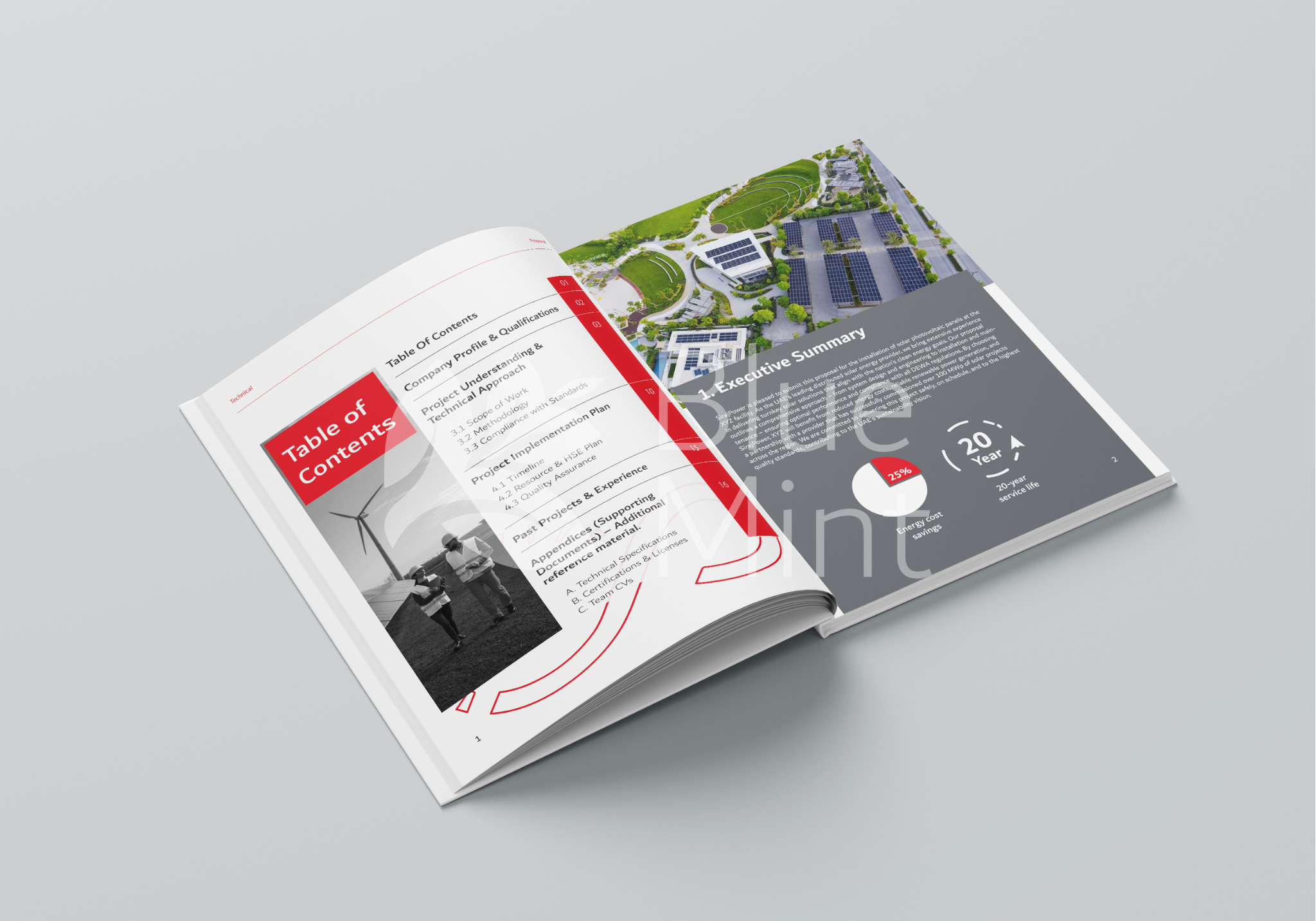 Company profile